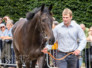 PN030825-47 - Gillespie